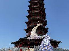 -江苏三台山国家森林公园