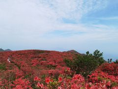 -大围山国家森林公园