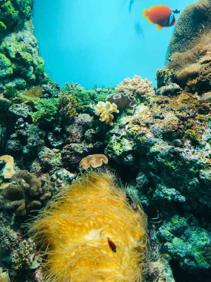 鹿儿岛水族馆-"地址算好找,离坐船的地方很近,因为当天去.