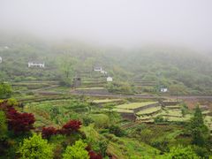-四明山国家森林公园