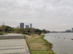 游乐设施-飞来湖湿地公园