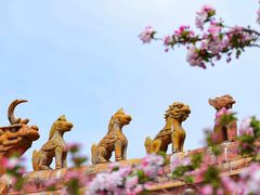 -故宫博物院(故宫)