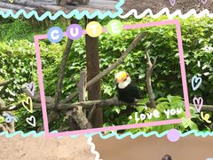 -泉州海丝野生动物世界