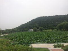 -龙寺生态园