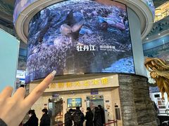 -龙塔