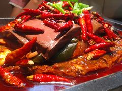 毛血旺烤鱼-探鱼·鲜青椒爽麻烤鱼(苏宁广场店)