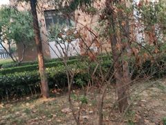 -山东省青岛第二中学(江西路分校)