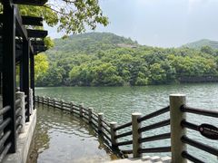-白马涧龙池景区