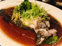 广式蒸老鼠斑-富临饭店阿一鲍鱼