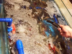 -哆来咪火锅烤肉自助(牌楼店)