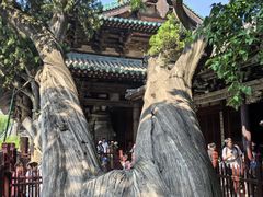 -晋祠博物馆