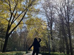 -森林公园(尖草坪区)