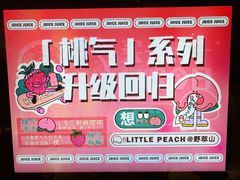-野萃山·潮汕厚果汁(十亩地店)