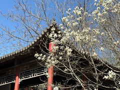 -碑林公园