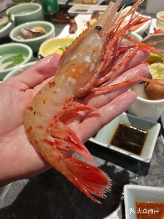 上隐水产海鲜自助餐厅牡丹虾图片 - 第53张