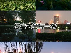 -莲花池公园