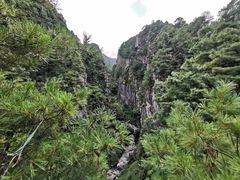 -苍山感通索道
