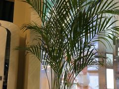 -涟LIAN·泰式按摩·MASSAGE·SPA(深业上城店)
