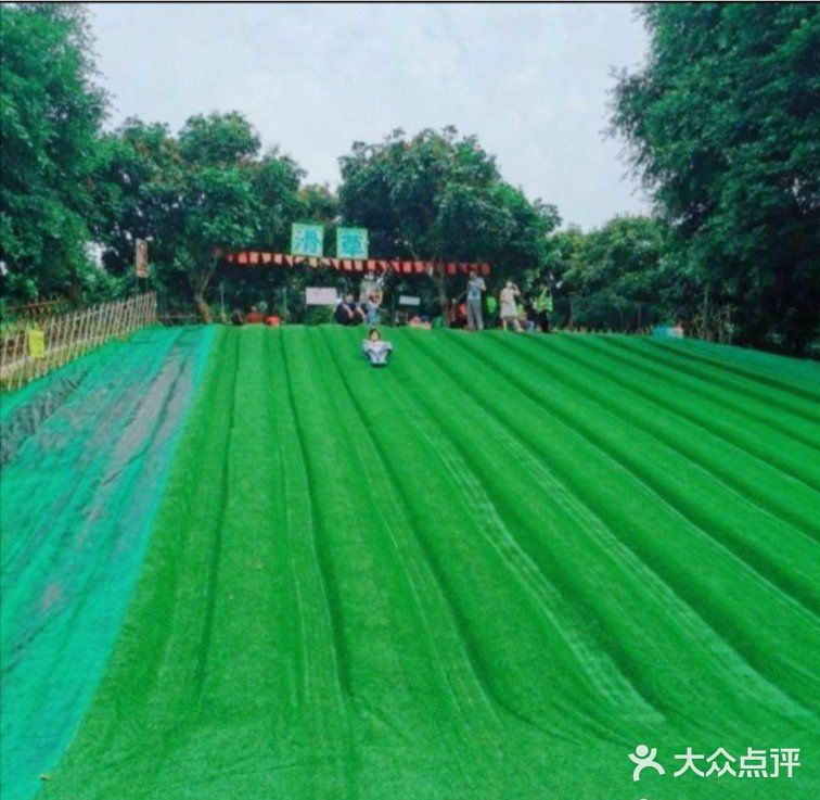 娃的森林滑草体验