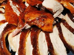 -守柴炉烤鸭(科华中路王府井店)