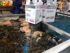 -盒马鲜生(大成店)