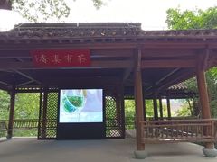 -中国茶叶博物馆(双峰馆区)