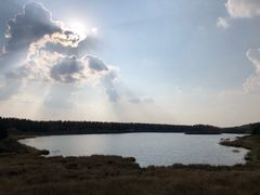 -塞罕坝国家级自然保护区