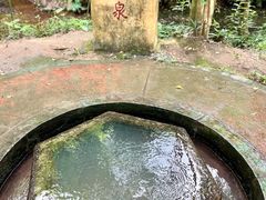 -大屏嶂森林公园
