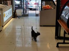 -二斗栗子(黄河道店)