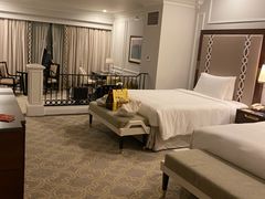 -澳门威尼斯人综合度假区