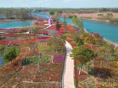 -泗洪洪泽湖湿地景区
