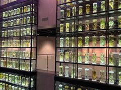 -广东中医药博物馆