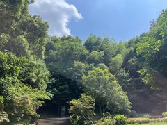 -上海佘山国家森林公园天马山园