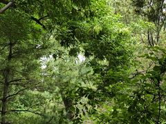 -森林公园(尖草坪区)