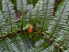 -重庆雨台山风景区