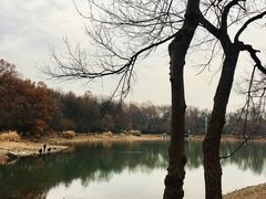 -紫霞湖公园