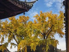 -吴作人艺术馆