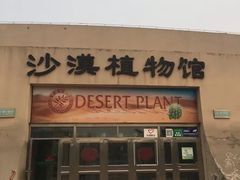 -石家庄市植物园