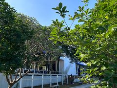 -海珠湖公园