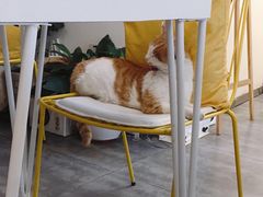 -五进制 Coffee Shop