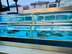 -豫丰汇河南名菜楼(武记餐饮)