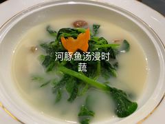-沈灶河豚宴·河豚融合餐厅(汉中路店)