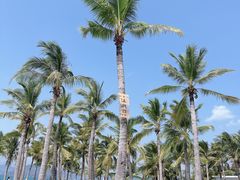 -三亚西岛海洋文化旅游区