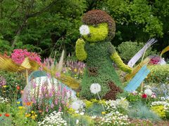 -上海共青森林公园