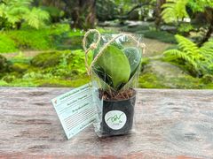 -Chom Cafe and Restaurant