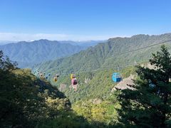 -朱雀国家森林公园