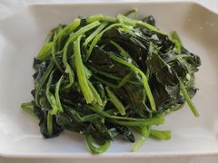 -云中小雅