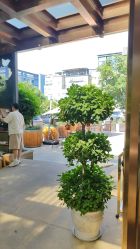 -金芙美月子中心(财富别墅店)