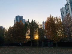 -半天妖烤鱼(方庄店)