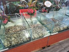 -渔家火锅·海鲜自助餐·演艺(亚龙湾天域酒店)